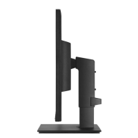 LG 24BN650Y-B / 24" / 1920x1080 / DVI, DP & HDMI / 12 Monate Garantie